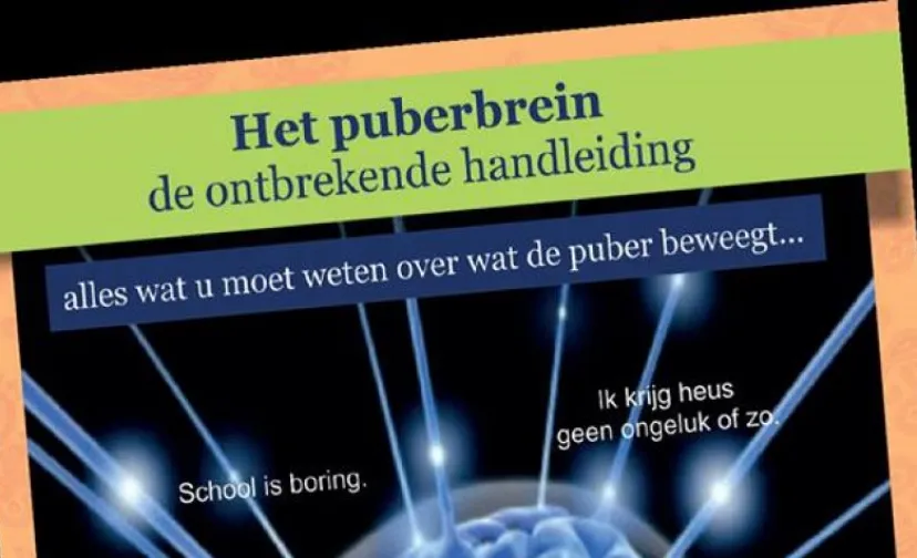 puberbrein