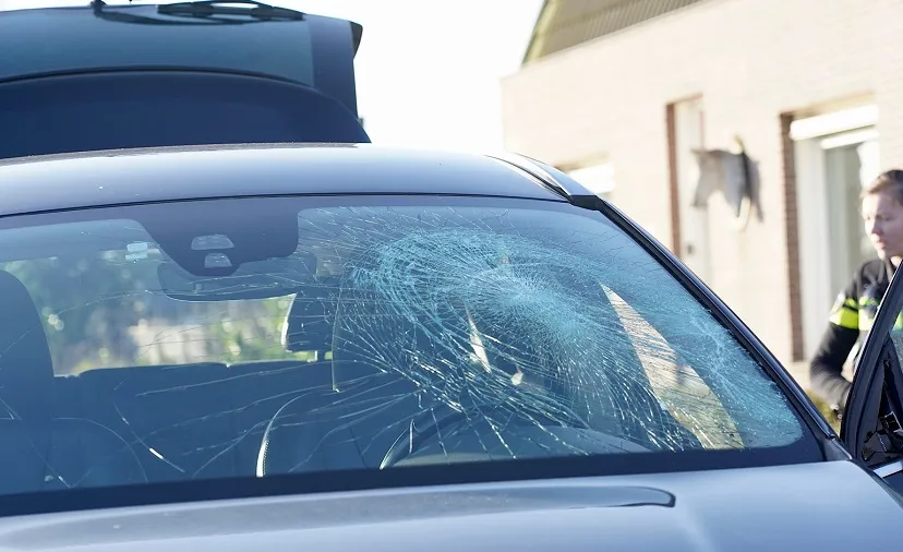 schoolstraat molenschot