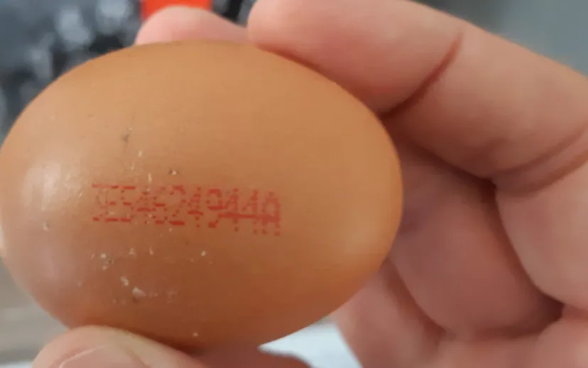 spaanse eieren 3es4624944a 915x518