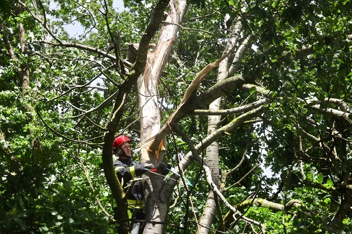 stormschade rijen