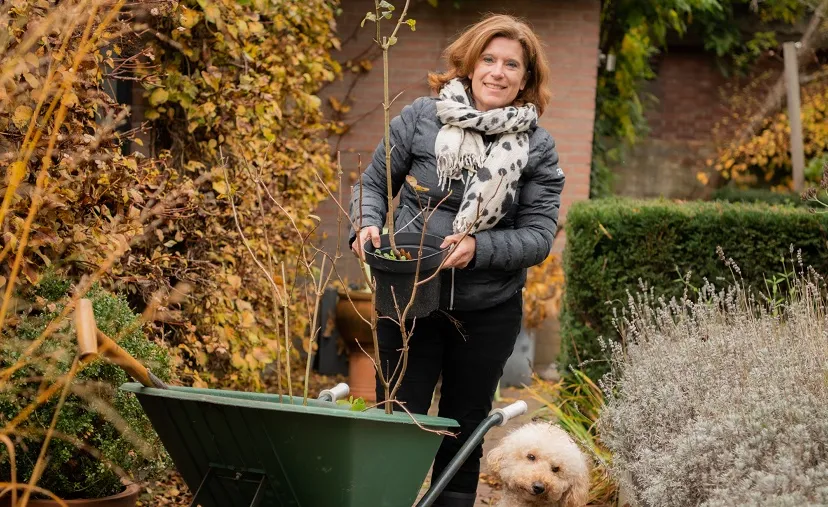 subsidieregeling vergroenen tuinen of daken 2