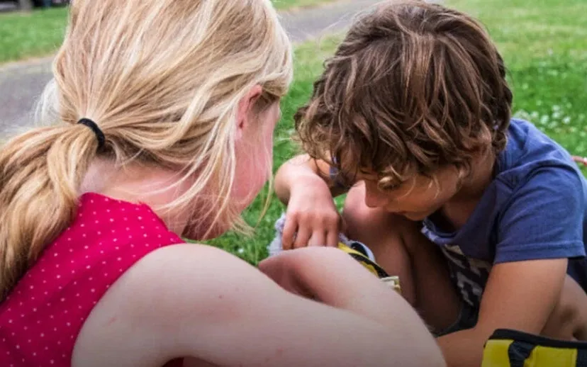 vakantietas 915x518 1