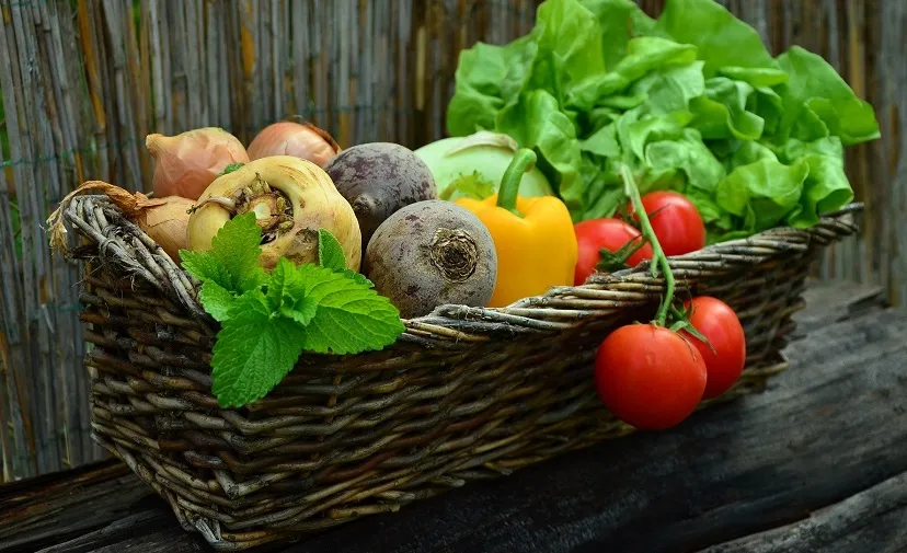 vegetables 752153 1920