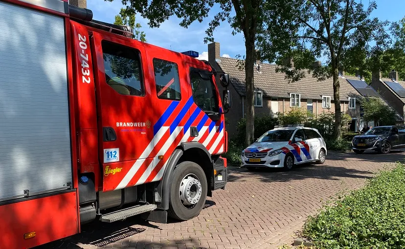 zaaren rijen