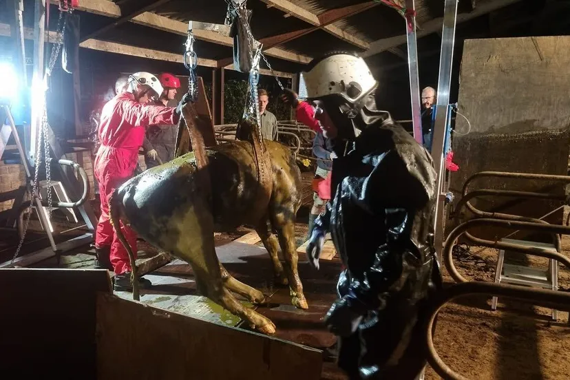 461525003 18101524390447388 3218235676271137282 n