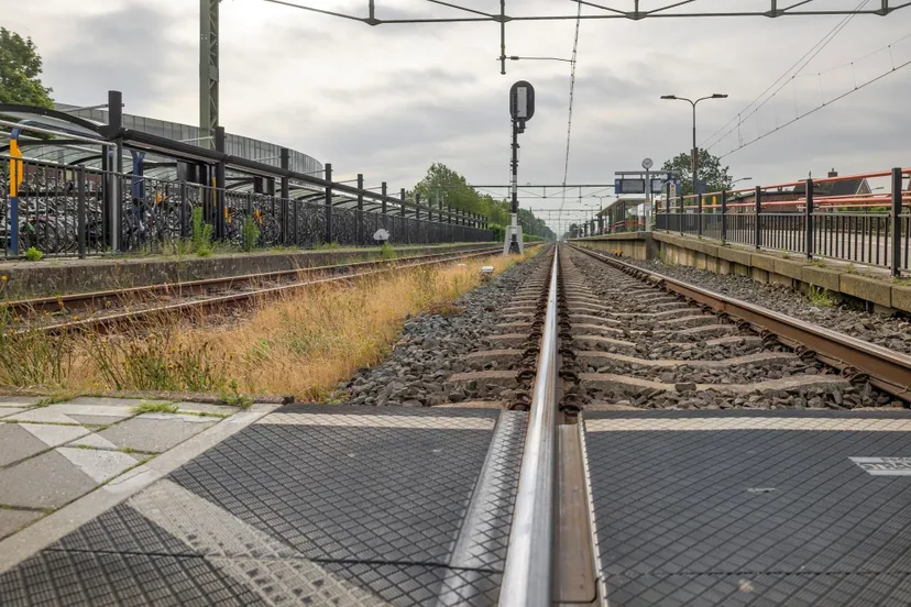 464579214 951311503699461 3688171797485692340 n