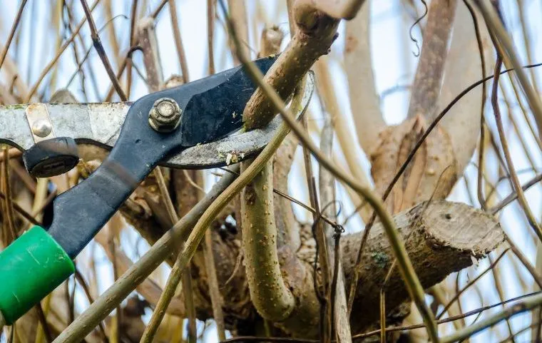 465788381 956941796469765 6804305635118267635 n