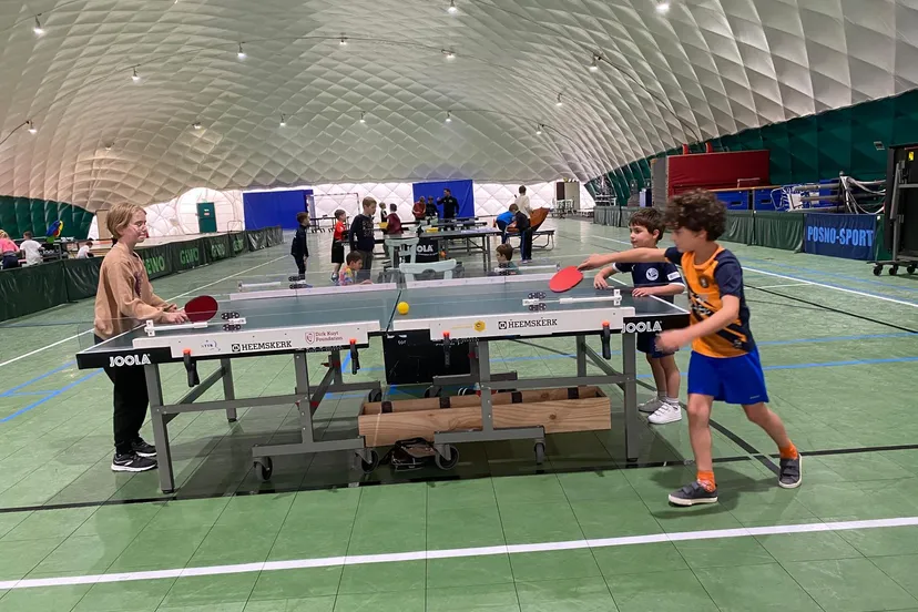 466425428 962987415865203 6650832503376926256 n