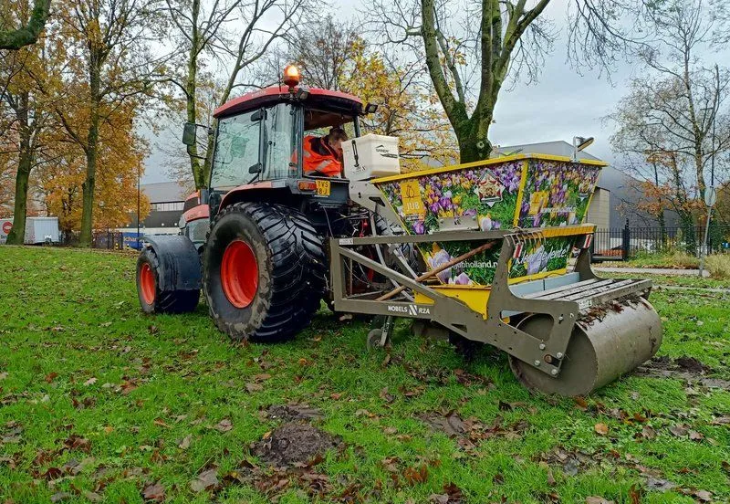 csm 2024 11 26 gr f i li w kleurrijke bloembollen in de burgemeester krollaan foto bloembollen 3 3f3eebeea2