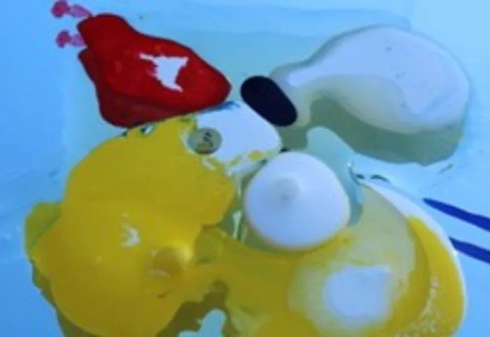 csm 2024 12 12 beeld expositie corina van steenhoven 8d5a3c16bc