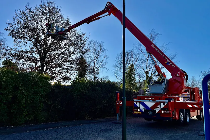 jeroen stuve 20250318084954 1