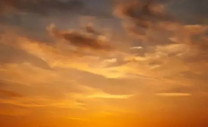 x steven 67dded520f153jpg