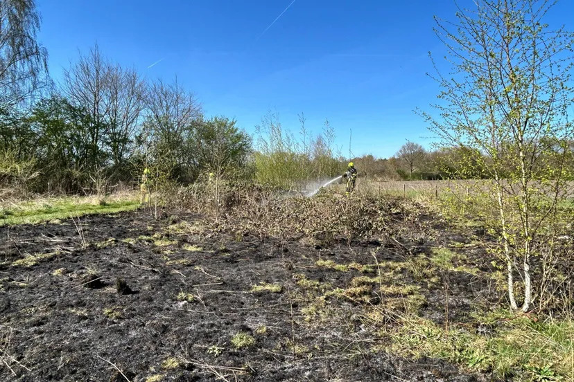 80df7e3d 2a3e 4380 ba64 f1652113f2e3