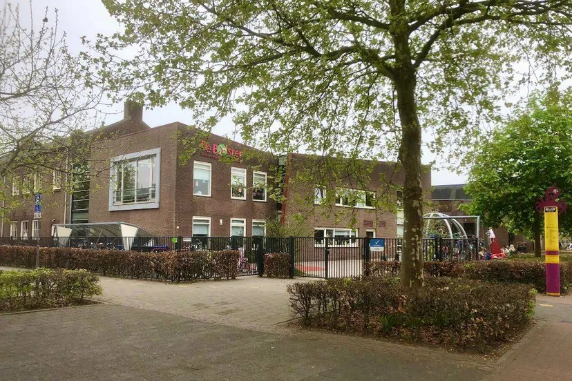 img 4924 1 de bolster gilze 1