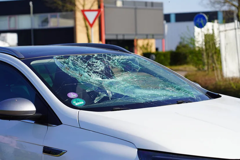 jeroen stuve 20250404154458 2