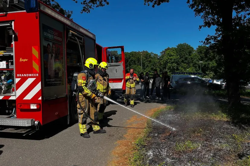 496814696 18123805897447388 8267049294099287944 n