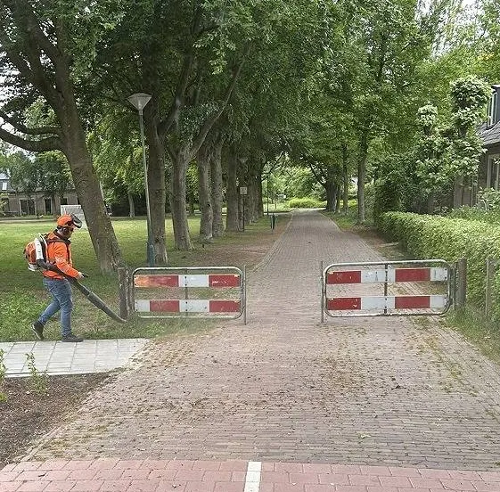 499267344 1104407988389811 8576838801089043679 n