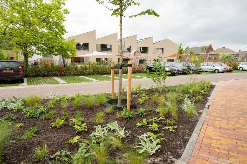 500657216 1108259568004653 376814408493553328 n