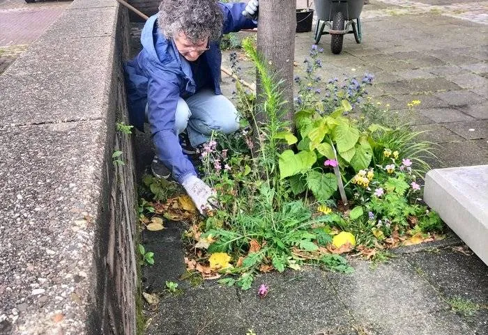 csm 2024 11 04 gr beeld bij boomspiegeltuintje internet 0ef5c09953