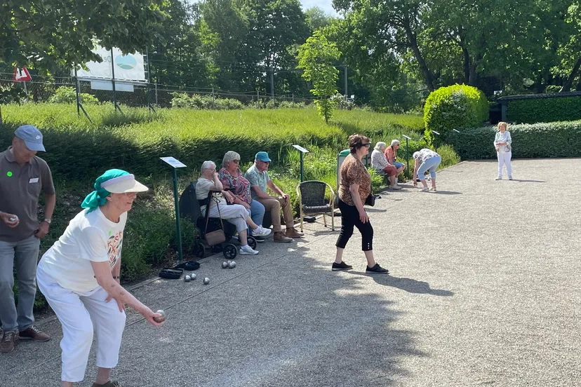 img 20250514 wa0019 de leemput 3