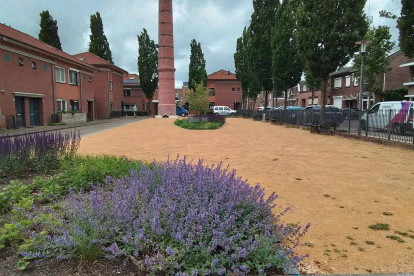 503896335 1115096230654320 4888128337336740502 n