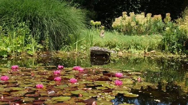 506534206 1120642786766331 5599724799729189987 n