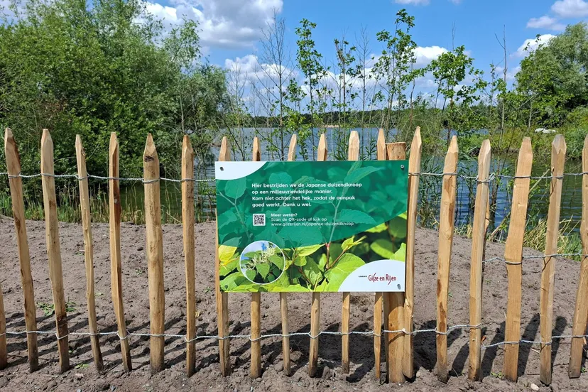 509351508 1126835382813738 3406584353202748257 n