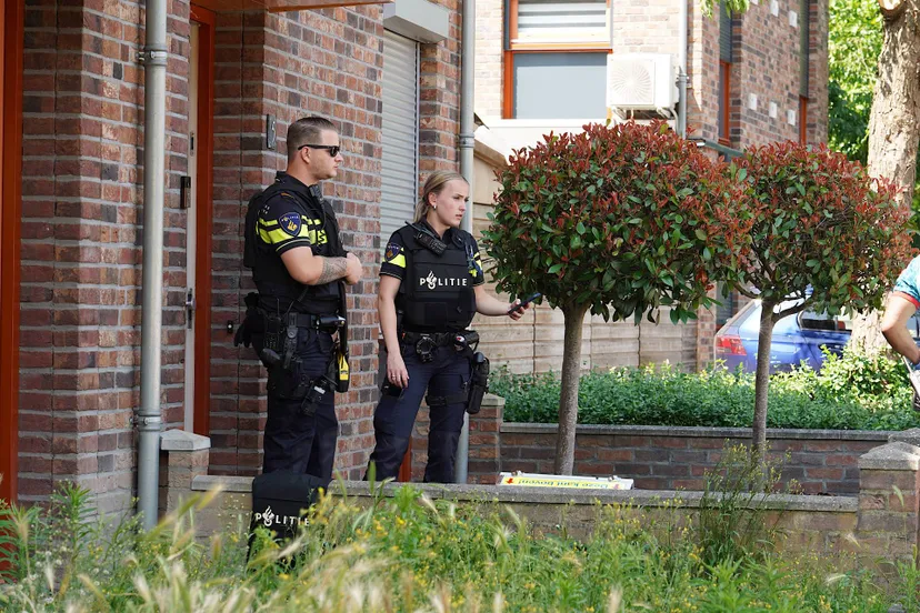 small 1002974f 5f75 495e 9c51 bf6402dff4c6 biaaiwprdten