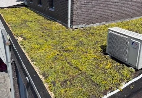 516239165_1142697951227481_449983184353875290_n