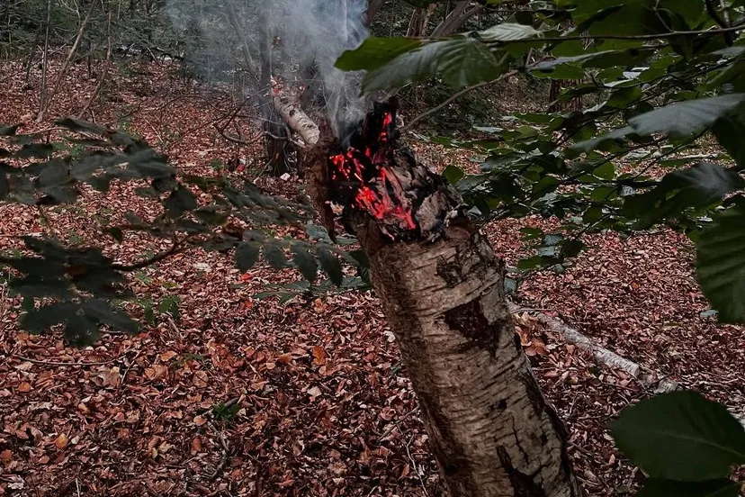 518171500_18129631198447388_2732375735115065185_n