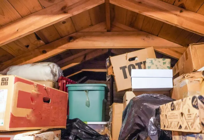 csm 2025 07 01 bn beeld zomeropruiming 1d2fcf776a