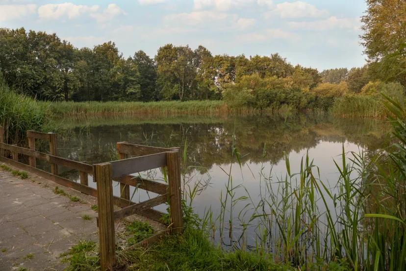 Park Wolfsweide 4 (water)