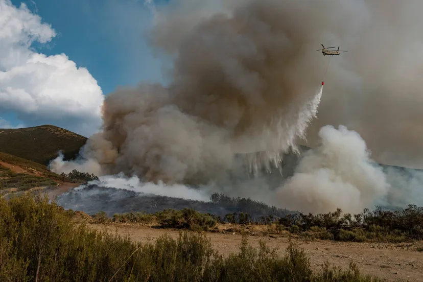 539181650_1216674730505012_610102737846777241_n