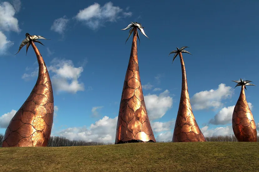 94612164_3170539509657972_575462241126580224_n