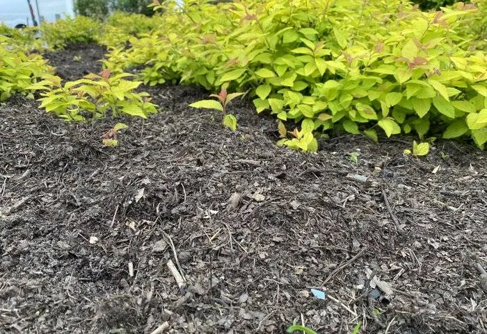 csm_2025-08-13_AC_GR_beeld_IMG_8474_847f1655bf