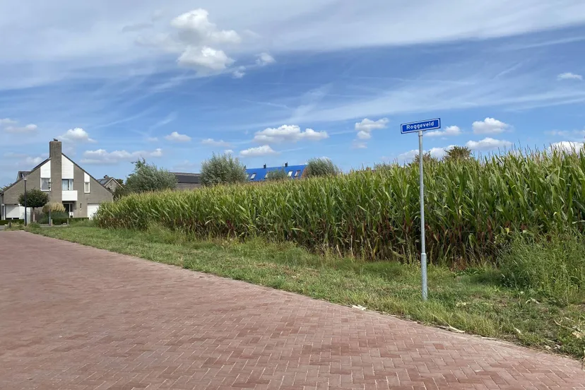 545594855_1192484252915517_5152872973568380480_n