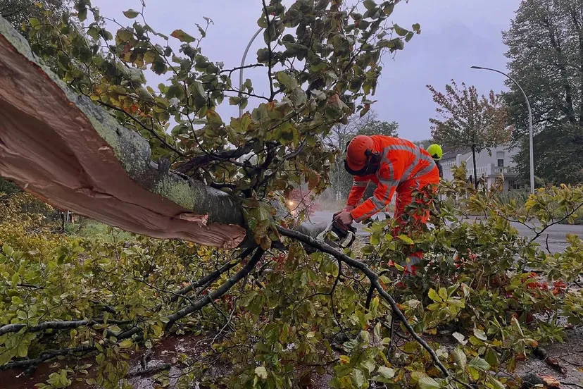 558488811_18137926615447388_8230707889491756861_n