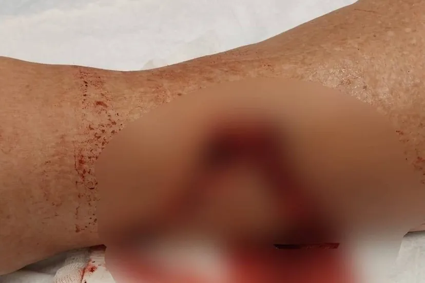 571165698_1181884107405451_2654155860003911620_n