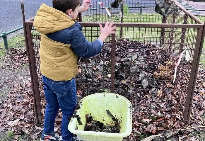 csm_2025-10-08_GR_beeld_bij_bladkorf_3757beb4f9