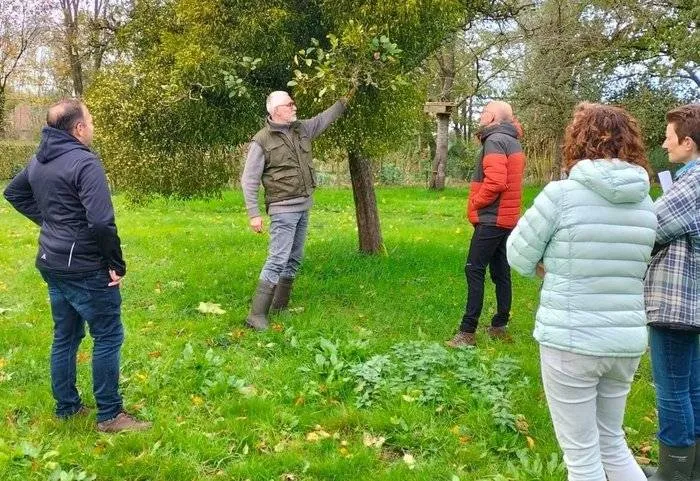 csm_2025-10-23_GR_IF_Insta_Klimaatweek_e98d58af2d