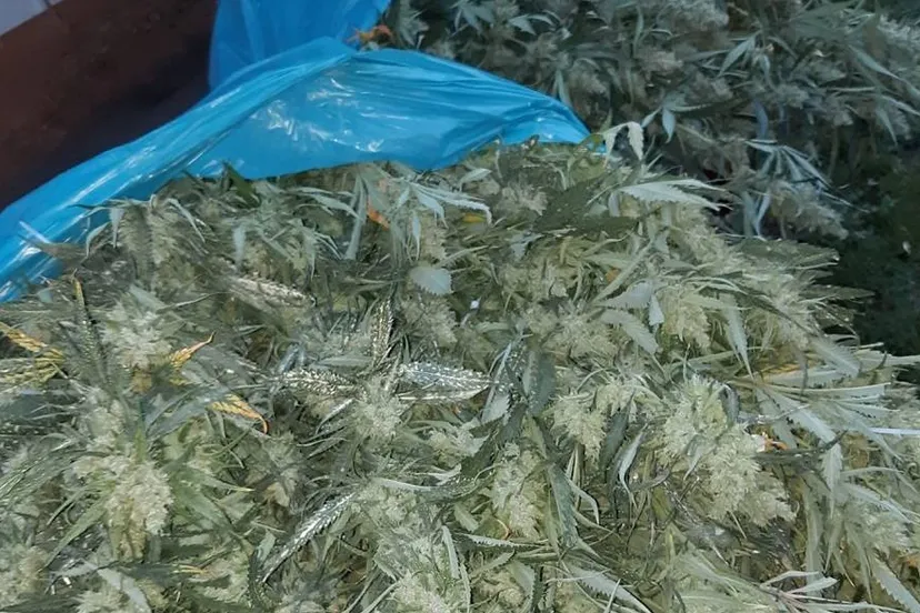 470569357_938941508366380_7513600634583702126_n