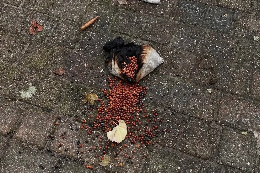 573100246_18141804619447388_6098677111559296965_n