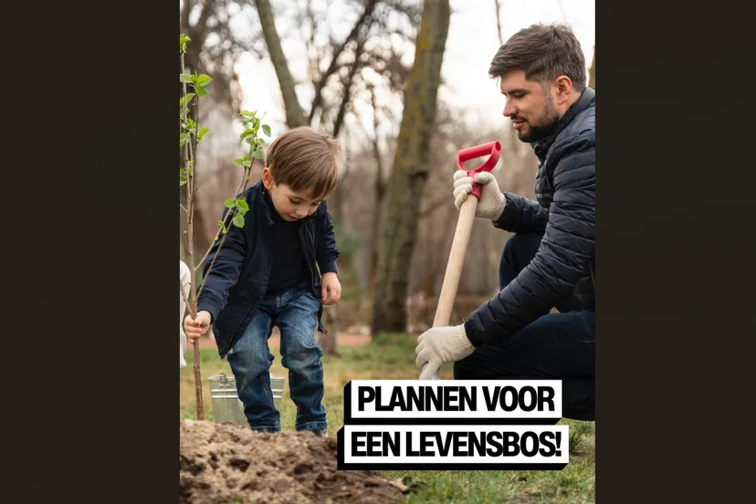 Schermafbeelding 2025-11-18 081357