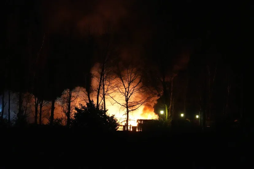 small_7e87382f-484f-400b-9c84-34b14df9311b