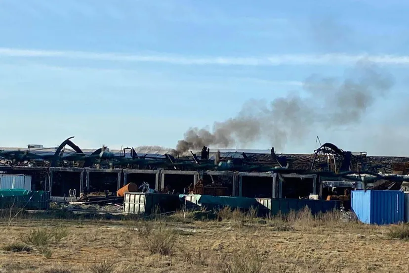 WhatsApp Image 2026-01-17 at 14.47.53