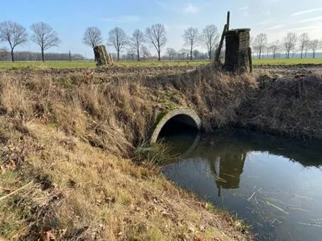 632017569_1323879669775974_5257503621548783630_n