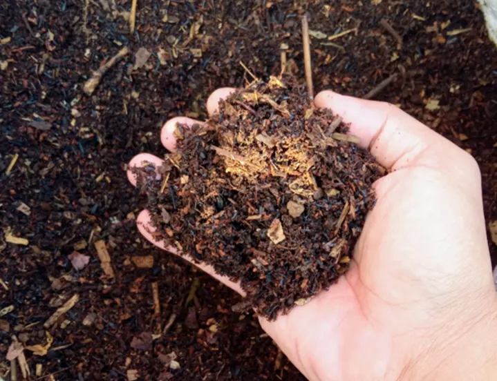 csm_GR_compost_197a281bd2