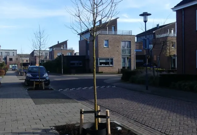 Schermafbeelding 2026-02-06 203207