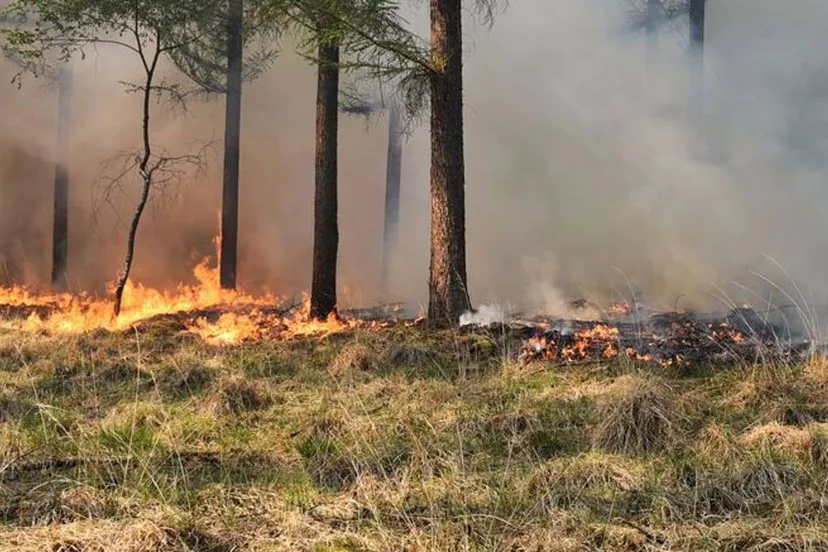 0ab0ba3b-8fe0-4238-82b8-bdebf8bda845 (1)