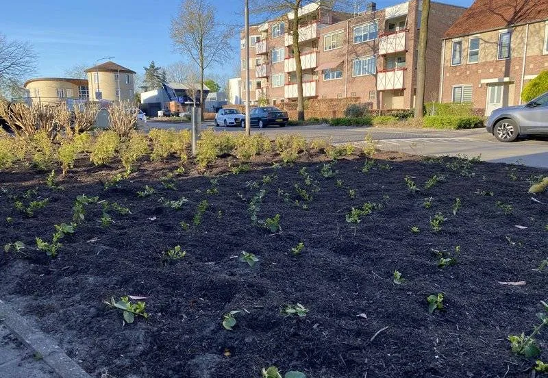 csm_2026-04-07_GR_beeld_Marga_Klompelaan_1_1__9ef4e8ca77